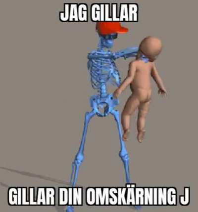 aj lajk j&aring;r katt j