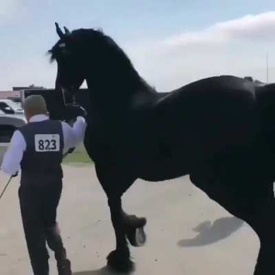 He just couldn't hold its elegance