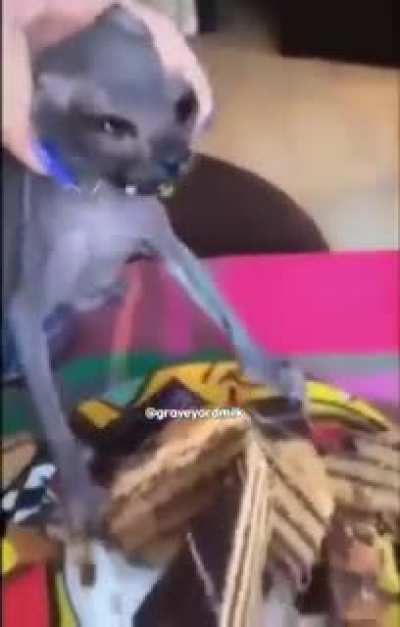 ._?