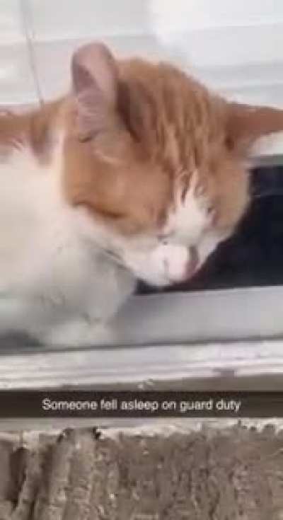 Don&rsquo;t sleep on guard duty