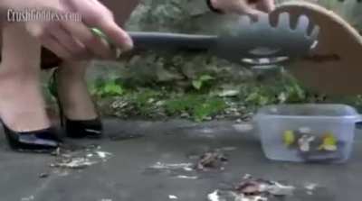 Lena outdoor roach crush