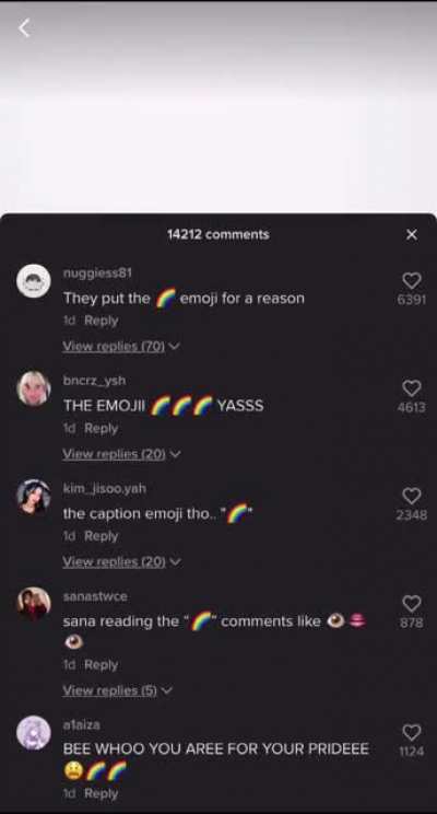 The comments section, I- 🌈
