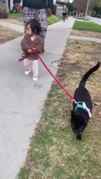 Helping hands