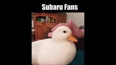 Bro