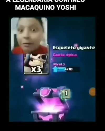 MACACO EL&Eacute;CTRICO