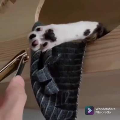 Nice try