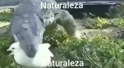 Naturaleza 😳