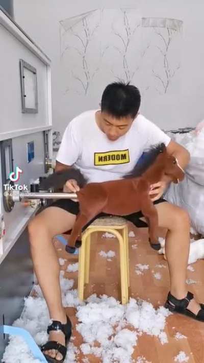 👁👄👁