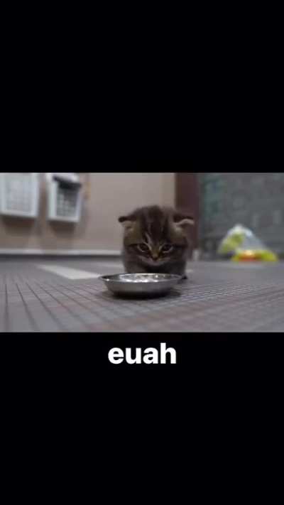 euah wunk
