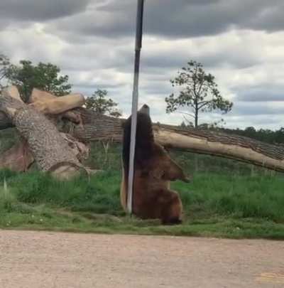 "Somebody come get her, she's dancin' like a stripper"