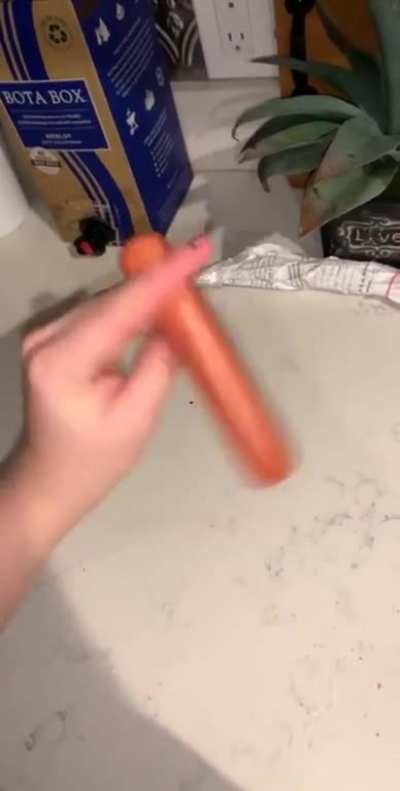 Metal Gear Solid 3 hot dog handling caw caw