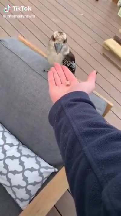 dont bite the hand that feeds you