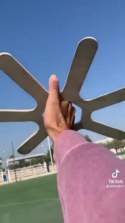 Boomerang with 7 handles