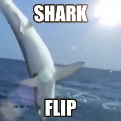 epic