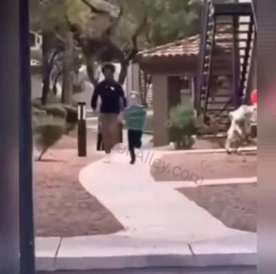 10 Year Old slapped in the face for calling a Black Male the N-Word