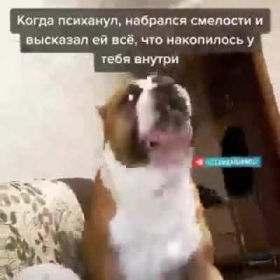 Высказал все что думал