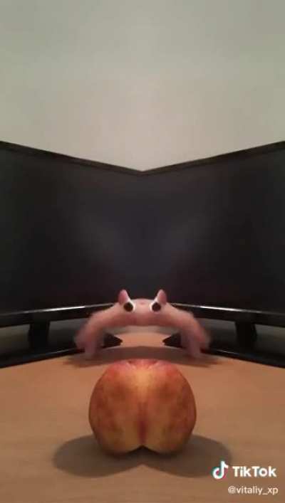 I still want a weird flair for this sub