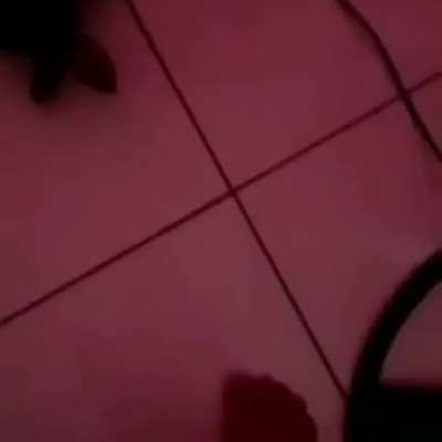 Ai &eacute; brabo