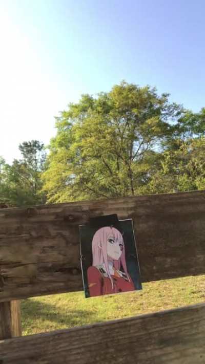 Ichigo&rsquo;s Revenge