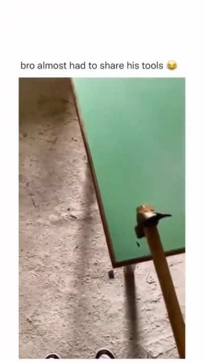 that was close 😮&zwj;💨