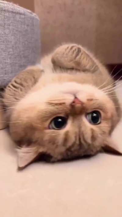 Fellings mood