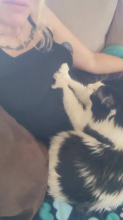Rehab Therapist Kitty