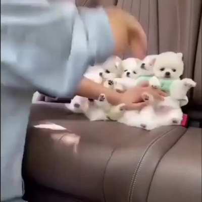 😍