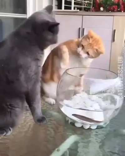 No touchy!