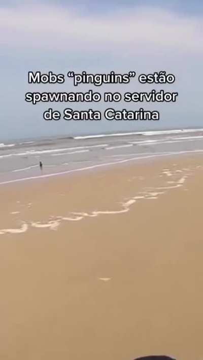 Estou ansioso para o patch que adicione o item "dinheiro" na minha conta banc&aacute;ria