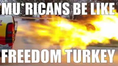 sorry Indi yans no turkey for you 🤣🤣🦅🇺🇸🇺🇸🇺🇸