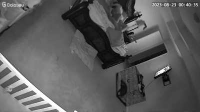 I love having home cameras!