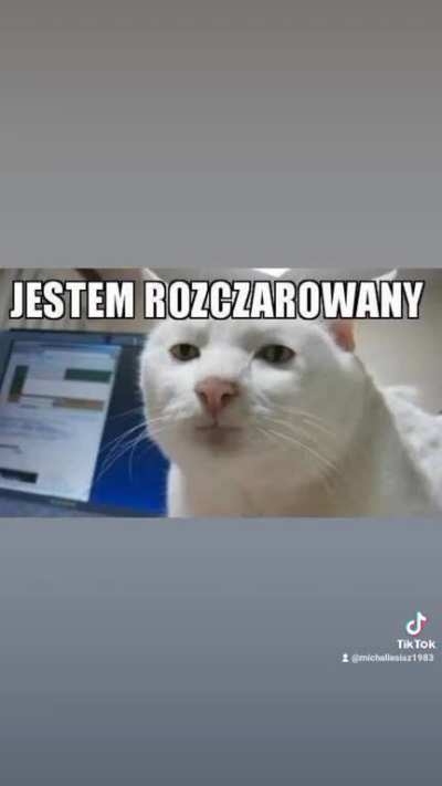 Jestem Rozszczarowany lubię memy 