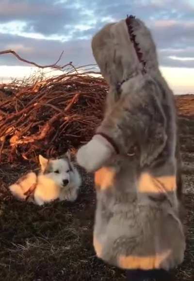 A tiny northern girl tries to play with a puppy.