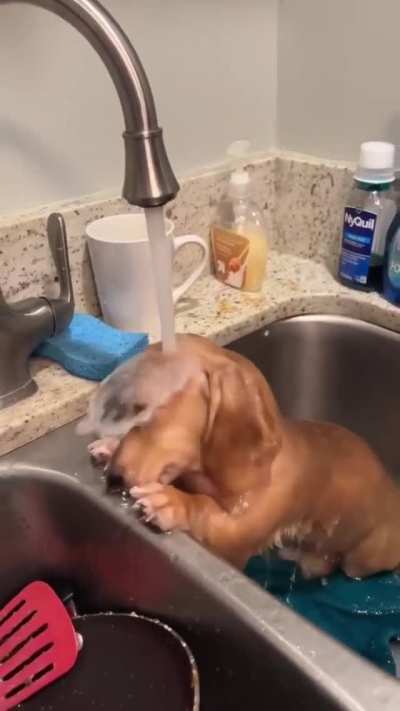 Enjoying the Bath