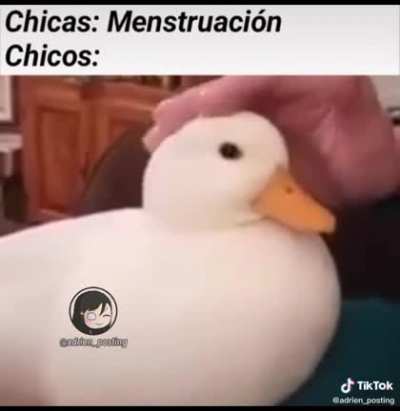 Ganso