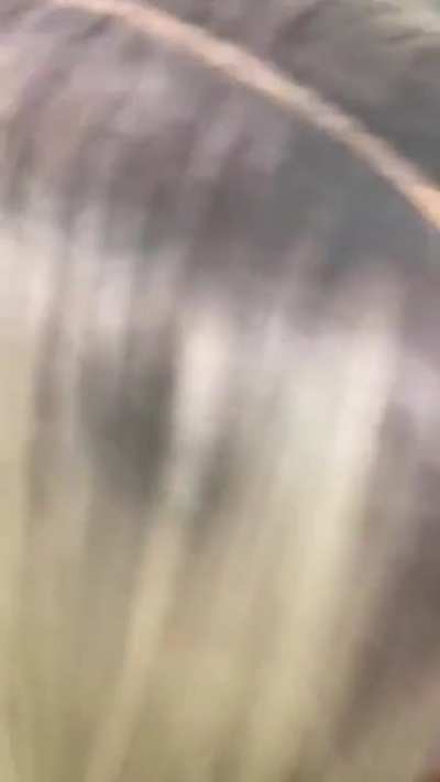 Cute bbw deepthroat bbc add her Twitter ajahhnicoleee