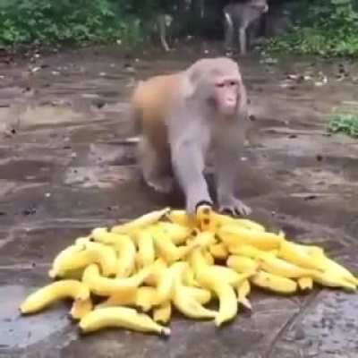 Suposto viajante do tempo grava v&iacute;deo de raro evento chamado "Churrasco dos Subs". Entenda o caso: