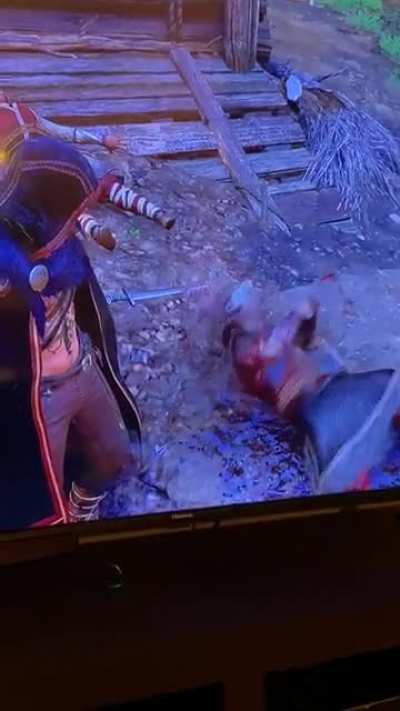 [Assassin’s Creed Valhalla] You okay bro?
