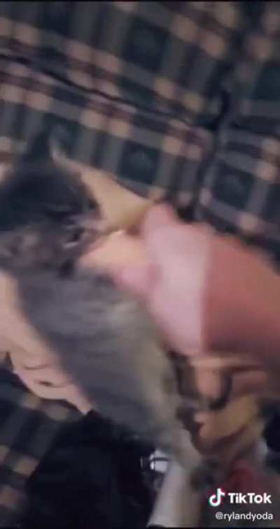 Kitty doesn&rsquo;t like sharing