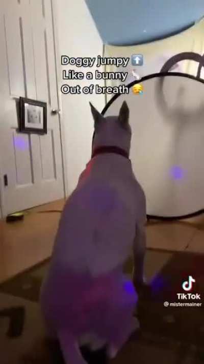 Doggy fresh
