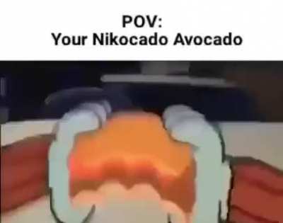 POV:it&rsquo;s another nikocado meme