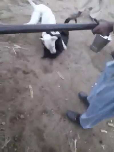 Se pudri&oacute;