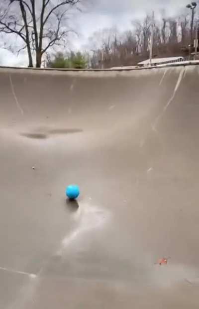 Perfect Form