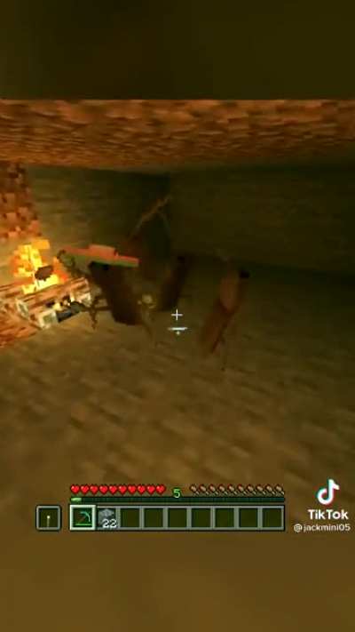 Bro&ouml;thers it's minecraft time
