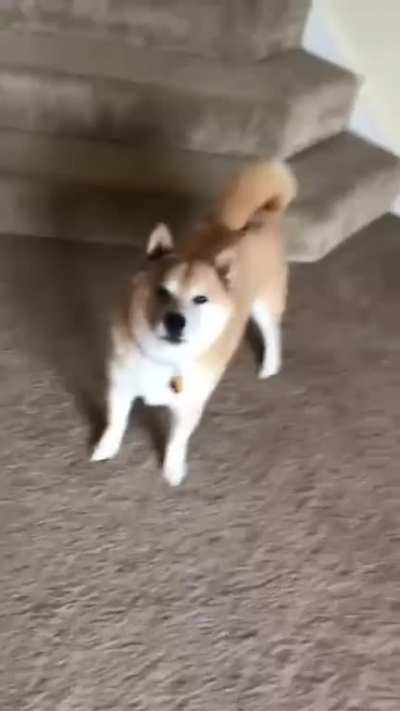 It's treat day!