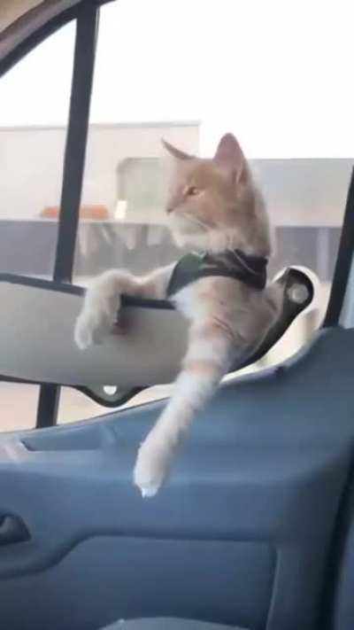 Living his best life