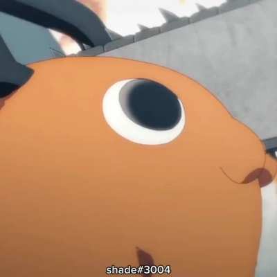 Pochita