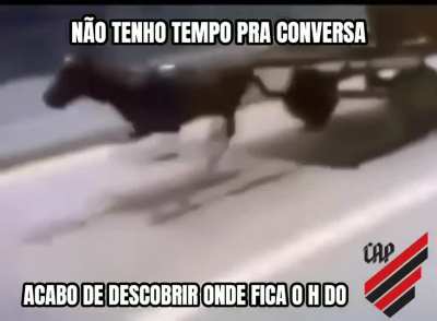 ELE SABE DEMAIS