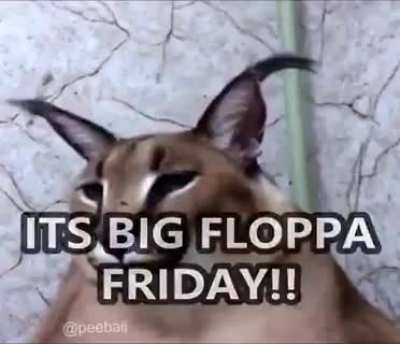 Friday_irl