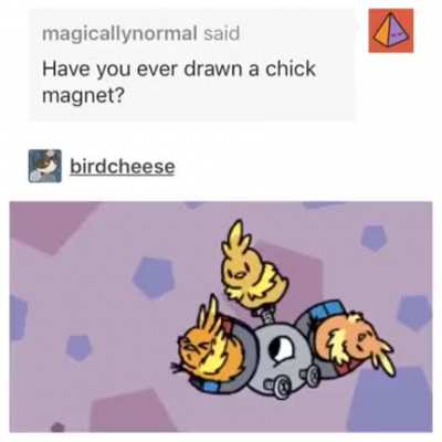 The best chick magnet